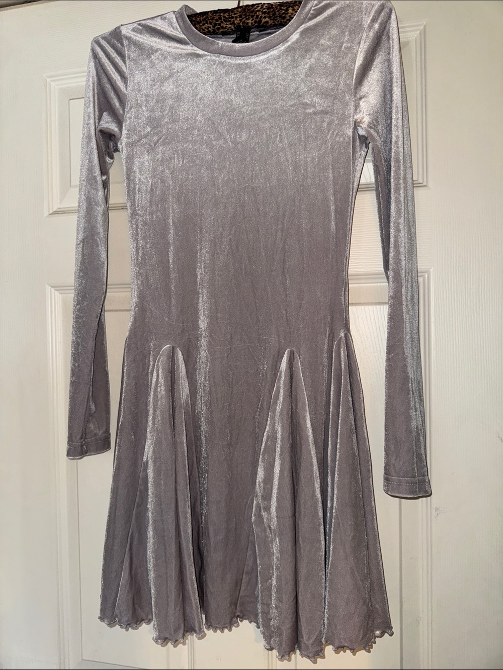 Forever 21 Silver Velvet Long Sleeve Fit-and-Flare Dress